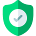 100% Secure Icon
